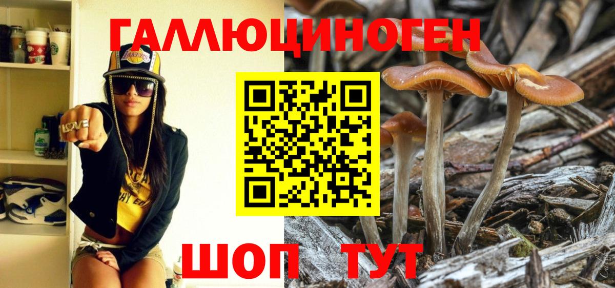 Кумертау  Псилоцибиновые грибы MAGIC MUSHROOMS  Вход с VPN 